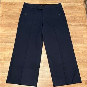 Banana Republic Navy Wide Leg Pants